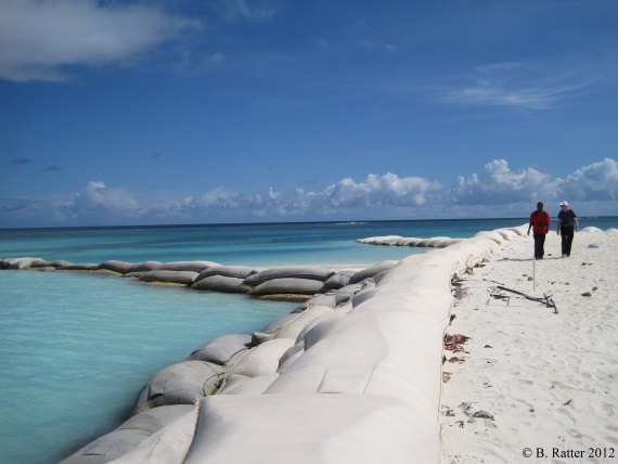 Anegada-beach_protection_Ratter2012.JPG