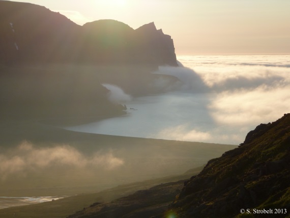 Hornstrandir_2-Island_2013.JPG